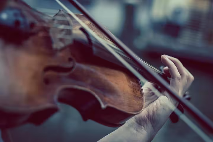 Close-up of violinist playing during musical aperitif experience with live concert and local food tasting