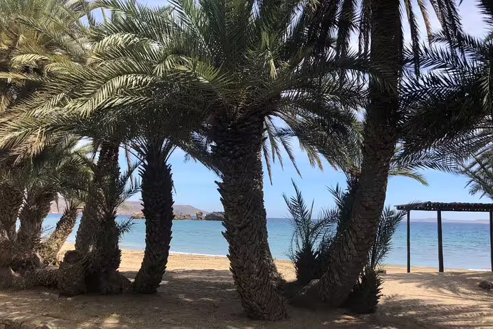 Tranquil beach view framed by lush palm trees on a VIP luxury 4x4 LandRover excursion.
