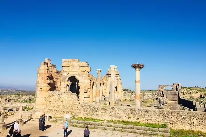 Volubilis Roman ruins near Meknes, ancient columns and arches visited on the best 9-day Morocco tour from Casablanca