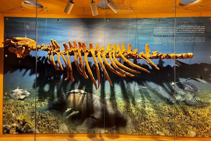 Whale skeleton display at Wadi El Hitan, Fayoum, showcasing Egypt’s ancient sea fossils on heritage tour