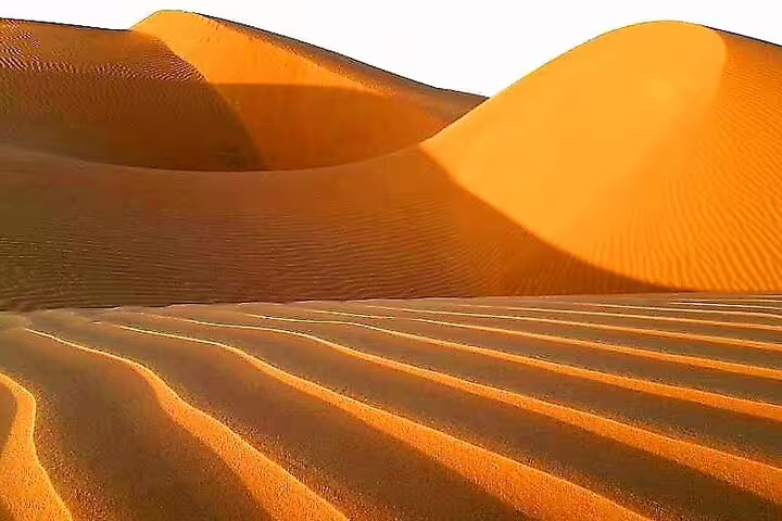 Golden sand dunes with rippling patterns in Wahiba Sands, perfect for a 2-Day Private Camping Tour from Muscat.