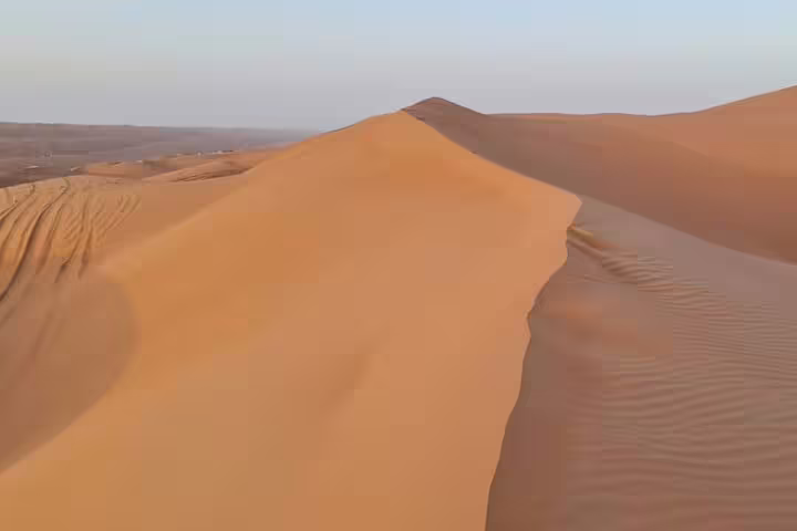 Expansive view of the rolling sand dunes in Wahiba Sands, highlighting the serene landscape on a desert tour from Muscat.