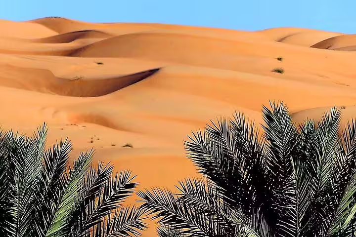 Majestic sand dunes and lush palm trees in Wahiba Sands, perfect for a 2-day desert camping tour from Muscat.