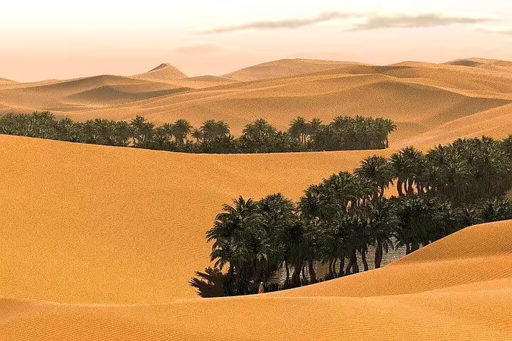 Golden dunes of Wahiba Sands with a hidden oasis of palm trees, capturing the desert's serene beauty.