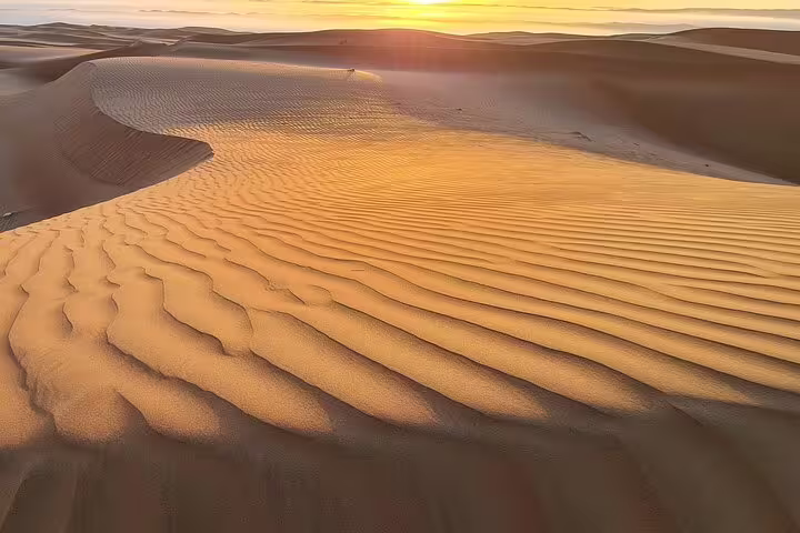 Sunset over the rippled sand dunes of Wahiba Sands, casting a warm golden glow over the expansive desert.