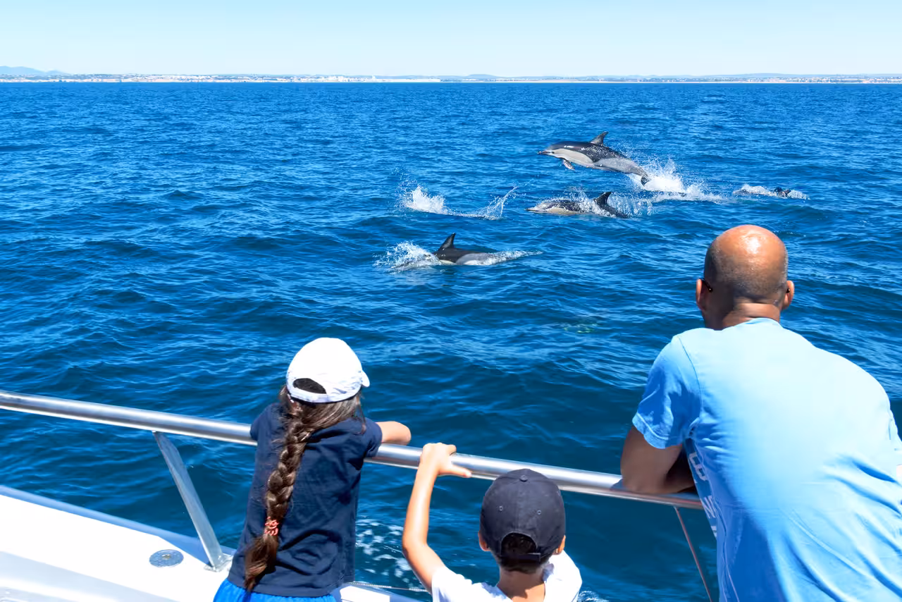 Family watching wild dolphins leaping in the blue Atlantic Ocean on an Albufeira catamaran tour
