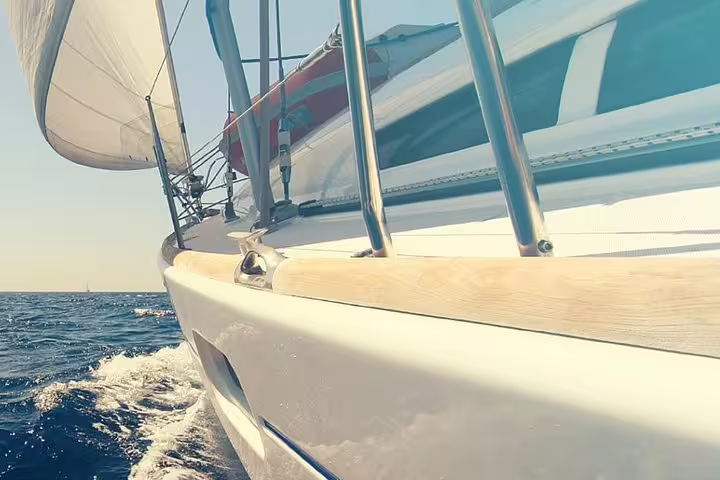 Sleek yacht cruising through clear waters on a sunny day during a whale and dolphin watching tour in Puerto Colón.