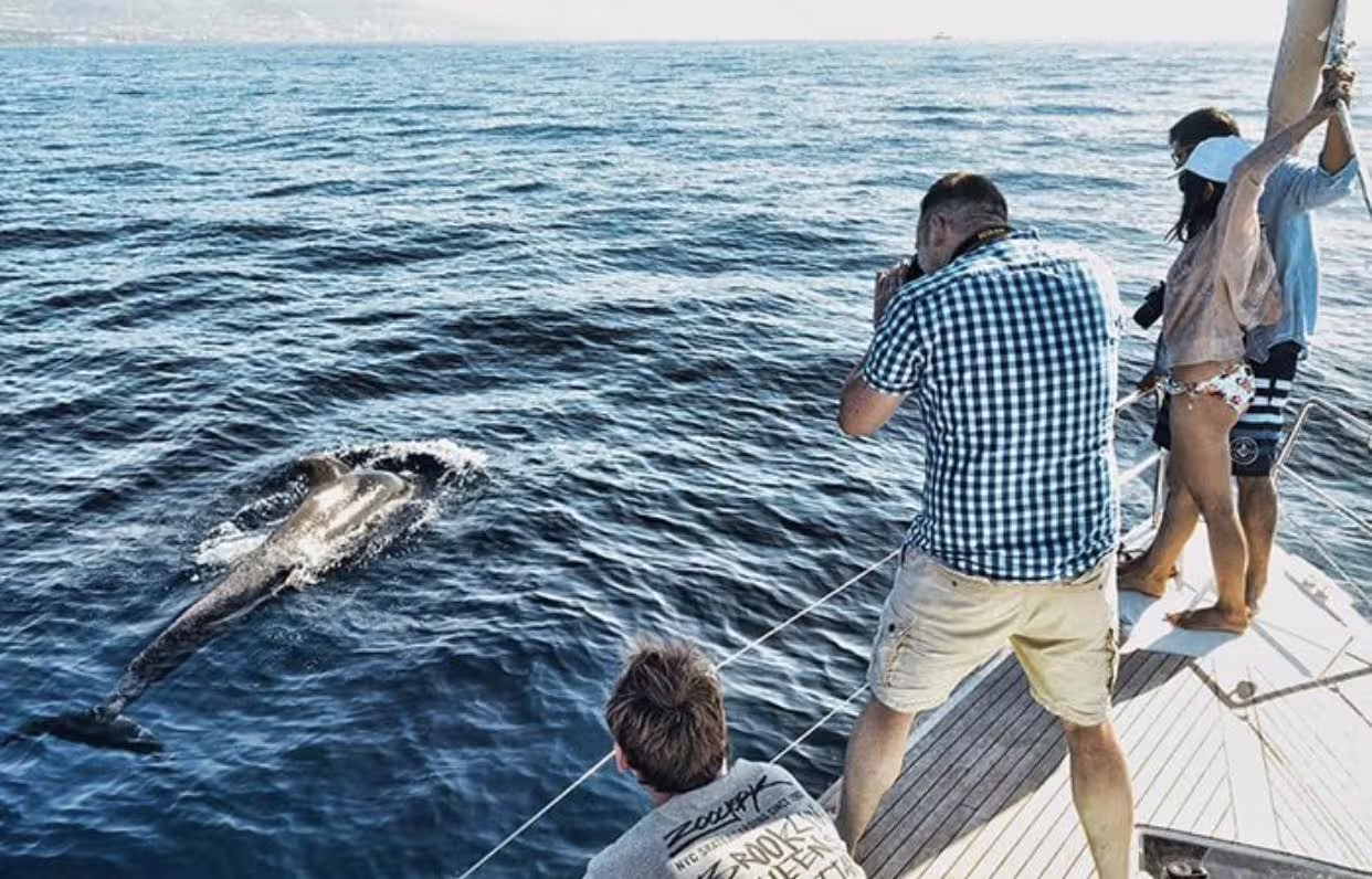 Tourists enjoy close-up view of a whale swimming near a yacht on a whale watching trip in Puerto Colón.