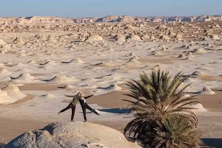 Travelers pose beside a palm amid chalk rock mounds on Egypt White Desert & Black Desert 2-day private tour
