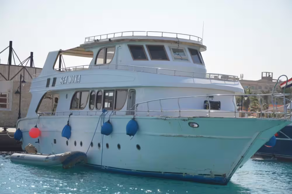 White yacht at the marina for Day on the Paradise Island boat trip, ready for a Red Sea island adventure
