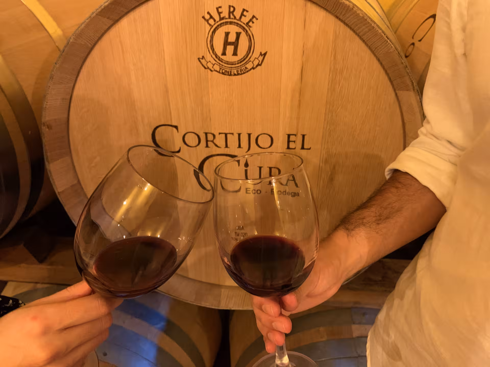 Two people toasting with red wine glasses in a rustic winery setting.