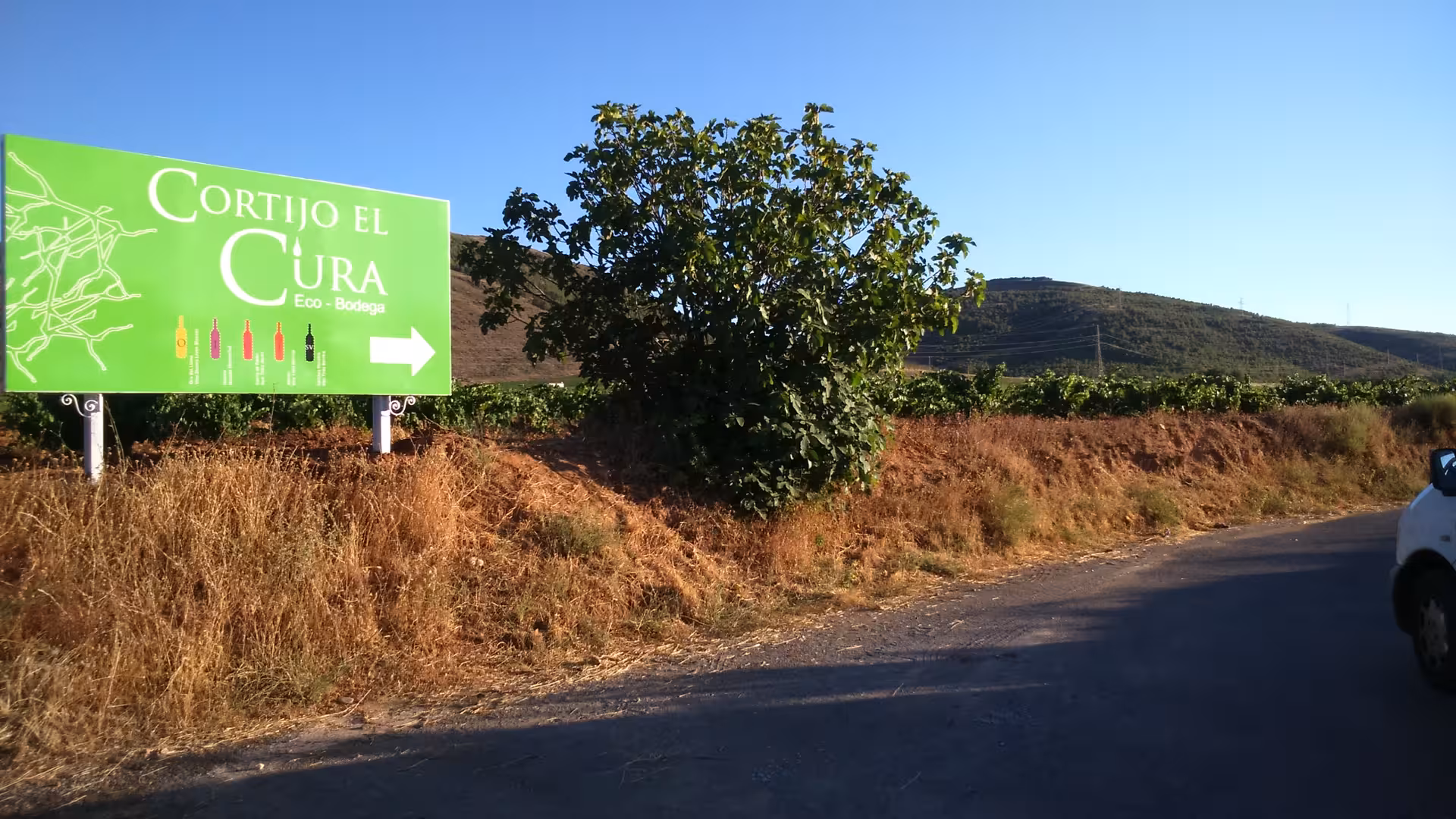 Scenic vineyard with signboard under blue sky at Cortijo El Cura, ideal for wine tours in Almería.