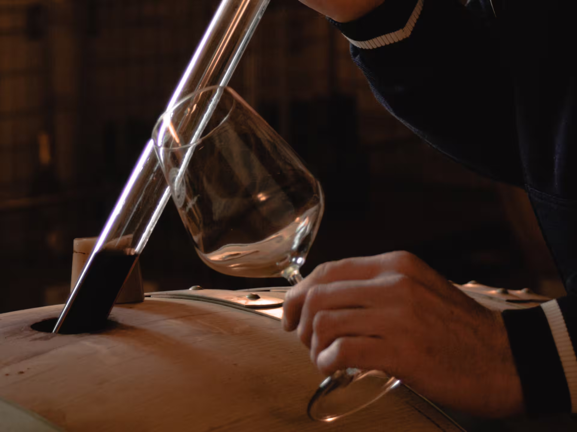 Winemaker sampling wine from barrel in Pavia cellar on organic winery tour with guided tasting and snacks