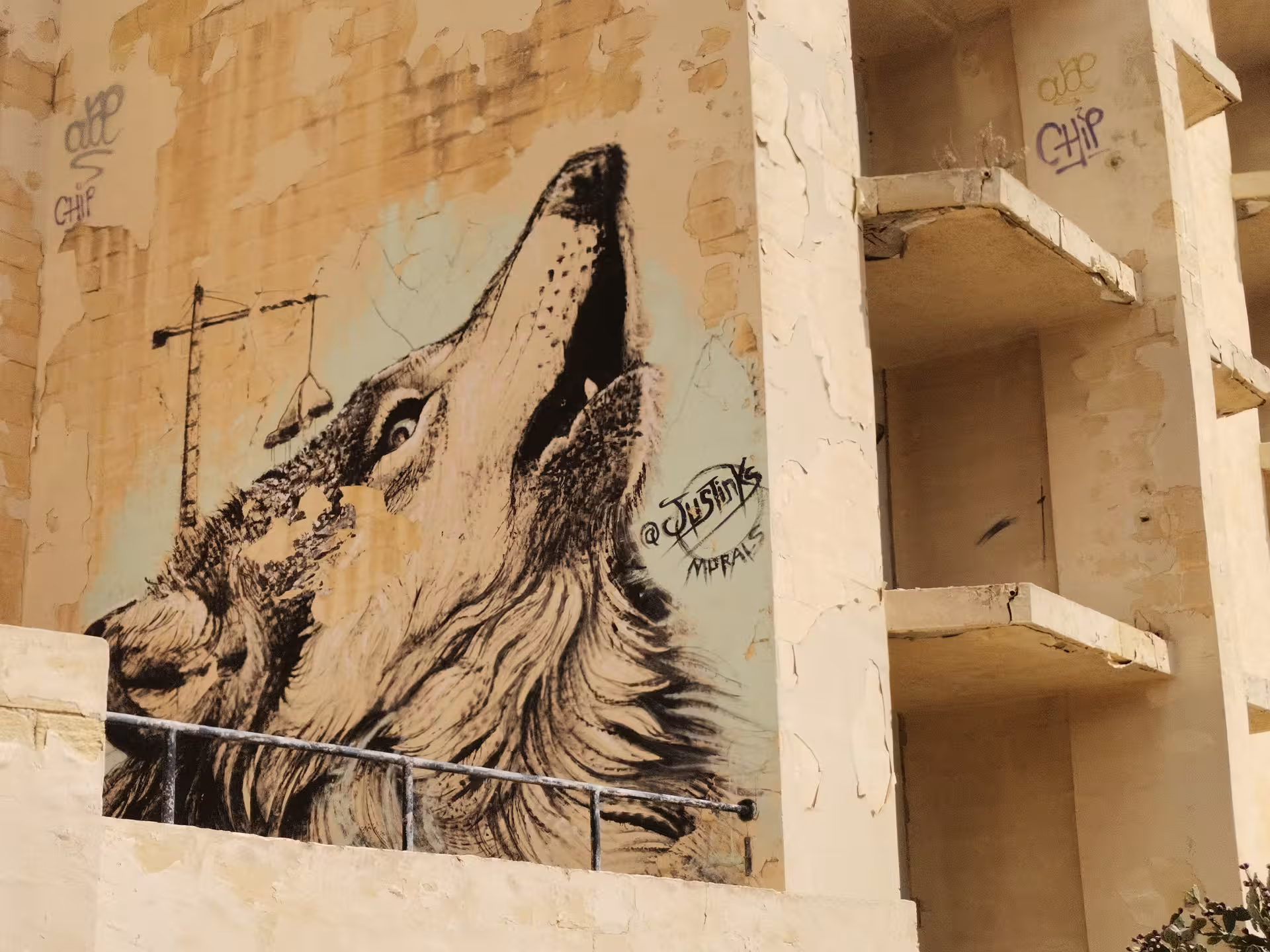 Wolf street art mural on a weathered building in St Paul’s Bay, Malta, seen on the guided hiking tour
