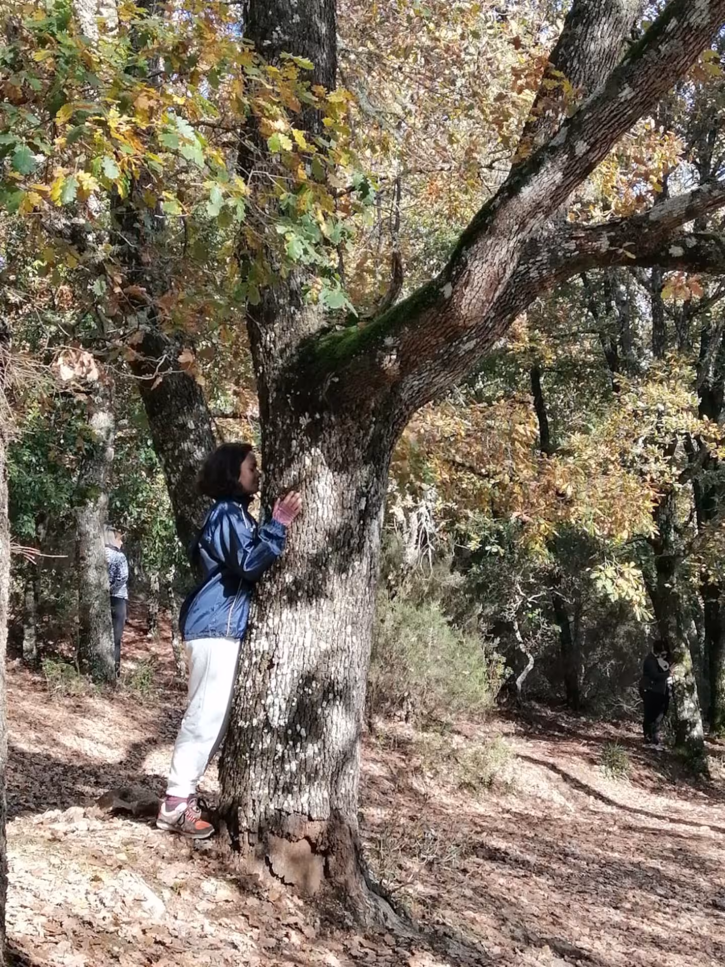 Woman embracing a tree in Sette Fratelli Park, showcasing a serene forest bathing experience in Cagliari.