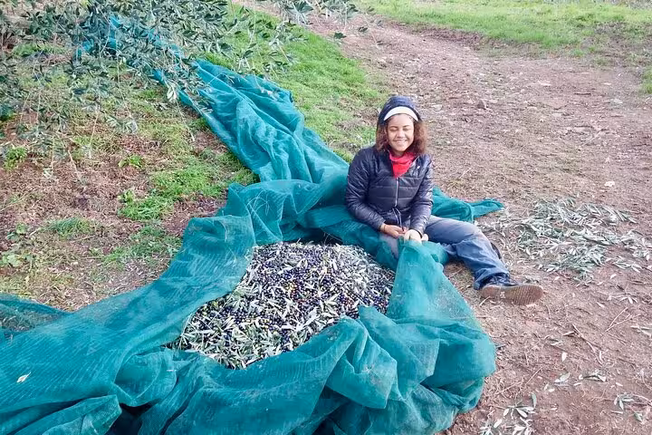 Smiling woman sitting beside freshly harvested olives in a grove during an olive oil tour.