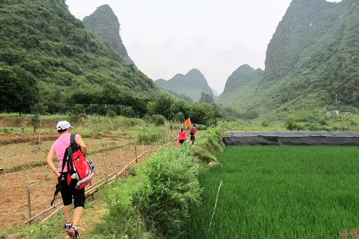 Tourists hiking through lush rice paddies and karst mountains in Yangshuo on a private biking tour.