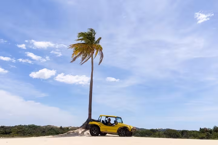 Yellow dune buggy under a palm tree on Cumbuco sand dunes, Fortaleza to Cumbuco Beach buggy tour