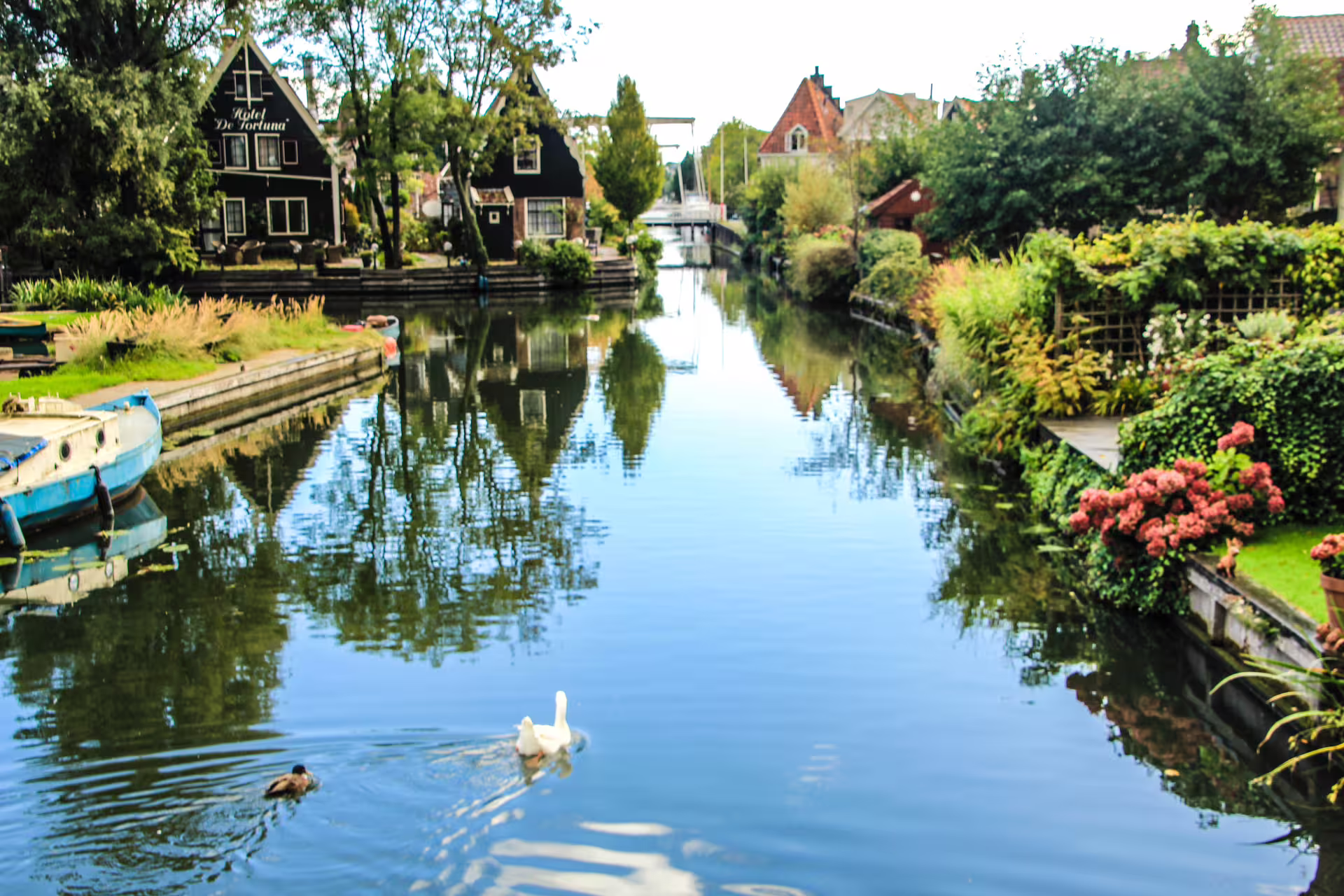 Scenic view of a tranquil canal with traditional Dutch houses and ducks, highlighting the charm of Zaanse Schans and nearby villages.