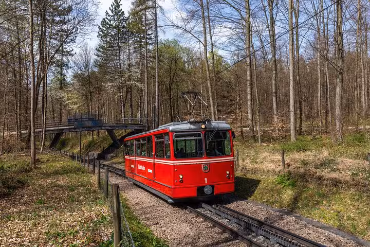 Red cogwheel train traversing through a serene forest landscape, highlighting the Zurich Transportation Adventure tour.