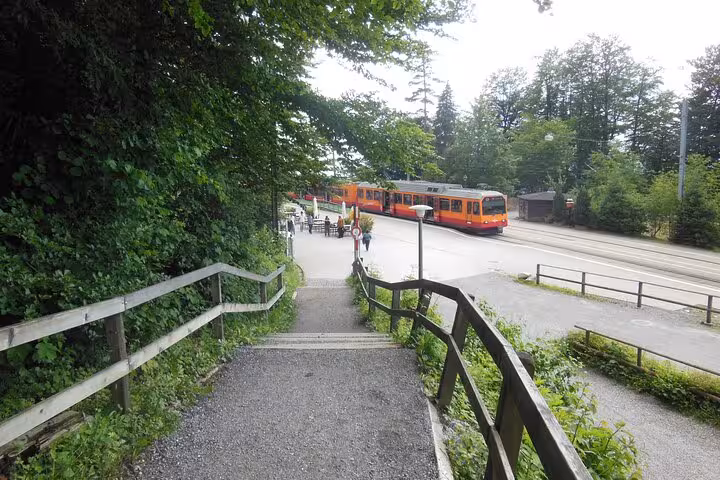 Charming cogwheel train on a tree-lined street in Zurich, ideal for exploring the city's scenic routes.