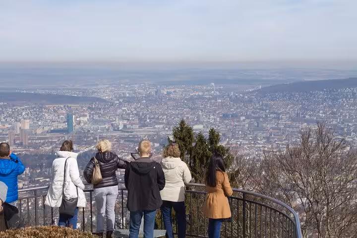Tourists enjoying panoramic views of Zurich city from a hilltop lookout, included in Zurich transportation adventure.