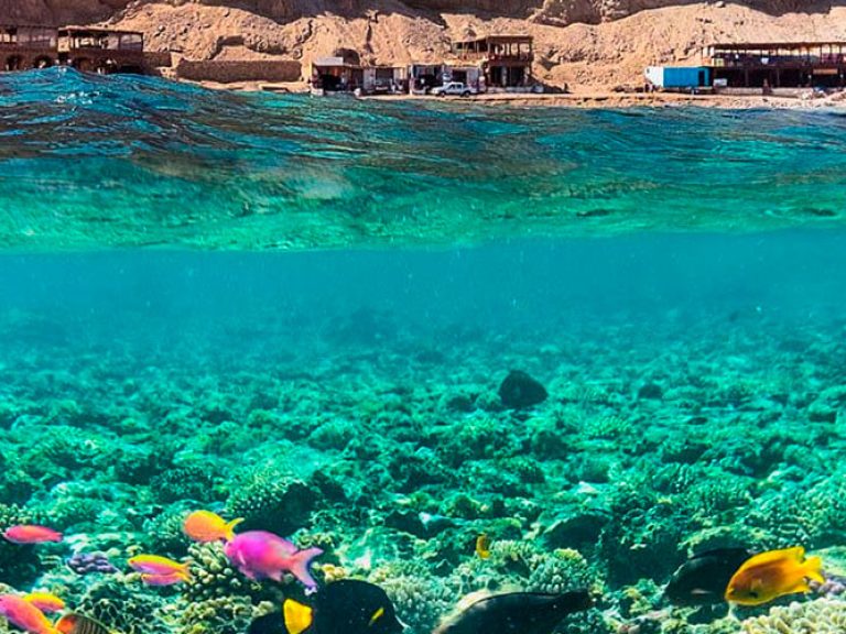 Three Pools Dive Site in Egypt offers divers a unique Red Sea experience with interconnected sandy pools and shallow lagoons showcasing vibrant underwater life.