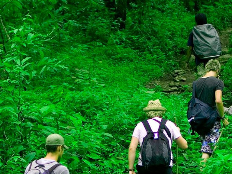 Amazon Trekking offers an unforgettable adventure in the world's most diverse rainforest. Hike through dense jungles, cross rivers, and explore remote areas to witness unique ecosystems, abundant wildlife, and untouched natural landscapes.
