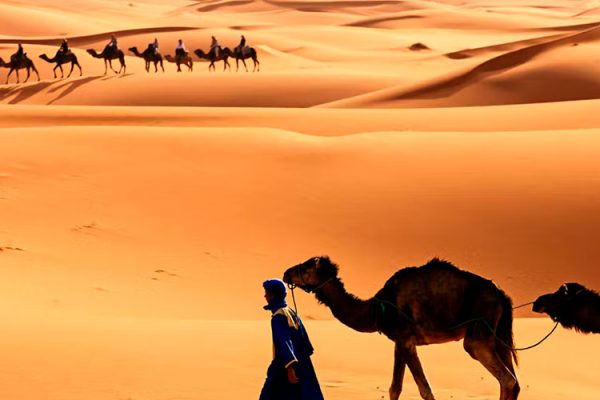 Attractions-in-Sahara-desert
