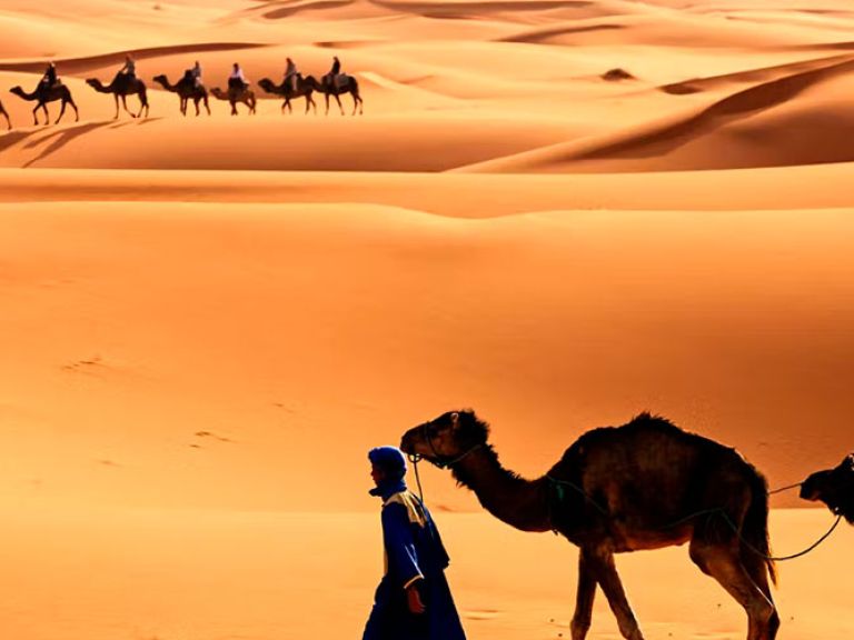 The Sahara Desert, Earth's biggest hot desert after Antarctica and the Arctic, spans North African countries. Tourists relish its landscapes, culture, camel treks, balloon rides, and 4x4 tours.