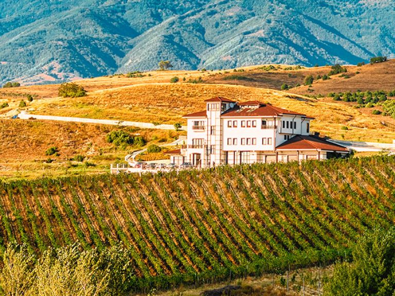 Thracian Valley, Bulgaria's wine region, boasts a sunny climate and diverse soils perfect for growing various grape varieties. Situated in the east, near Greece and Turkey, it's celebrated for its red, white, and sparkling wines.