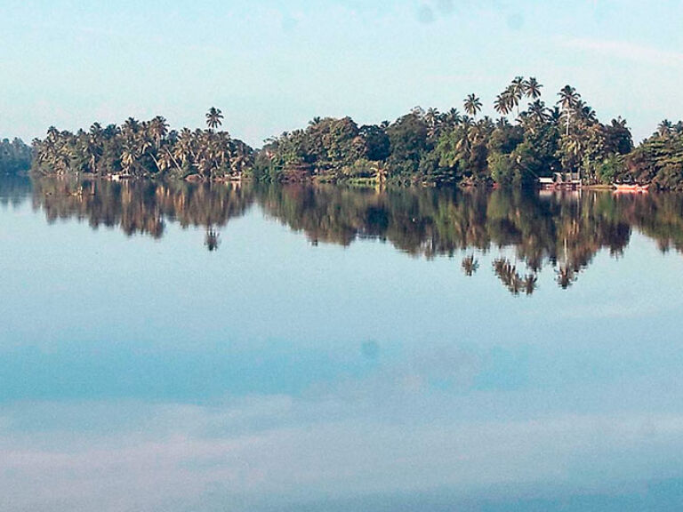 Bentota River, flowing into the Indian Ocean, boasts a biodiverse lagoon with breathtaking mangroves. Home to diverse fauna, these mangroves offer boat tours for visitors to witness the wildlife and understand their ecological significance.