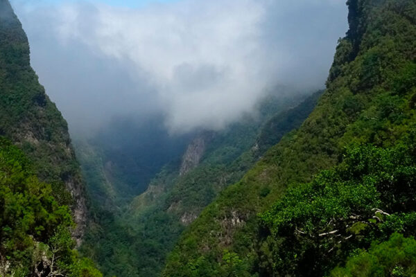 Levada Caldeirao Verde, also known as the Levada of the Green Cauldron, features a waterfall resembling a cauldron at the hike's end. Suitable for all ages, this popular trail offers breathtaking scenery and an easy hike.