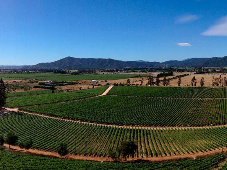 Chile's Casablanca Valley, just 60 miles from Santiago, is renowned for its cool climate and exceptional wines. Home to prestigious wineries like Concha y Toro, it's a must-visit for unforgettable wine-tasting experiences.