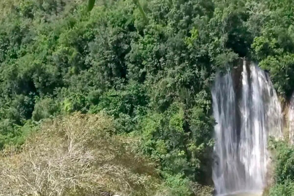 El Limón Waterfall, in the Dominican Republic's San Domingo East National Park, is one of the country's tallest falls. Popular with tourists, guided tours offer a chance to swim at the top, enjoying breathtaking scenery.