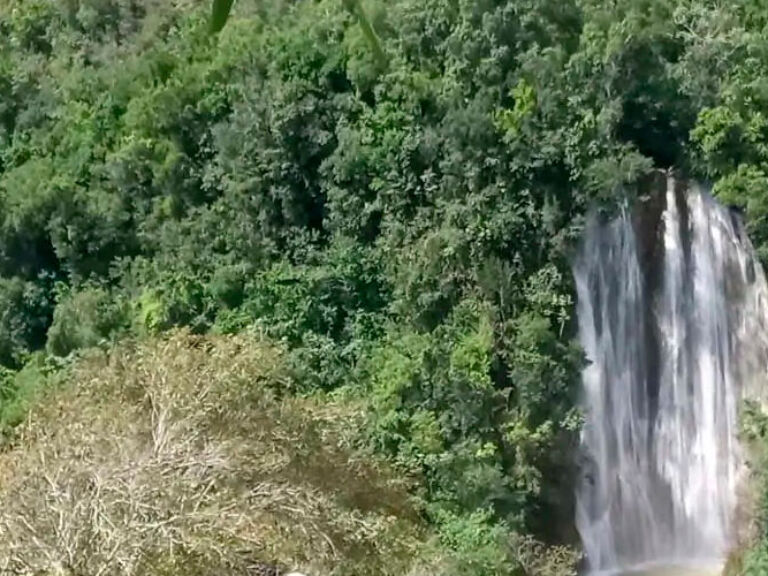 El Limón Waterfall, in the Dominican Republic's San Domingo East National Park, is one of the country's tallest falls. Popular with tourists, guided tours offer a chance to swim at the top, enjoying breathtaking scenery.