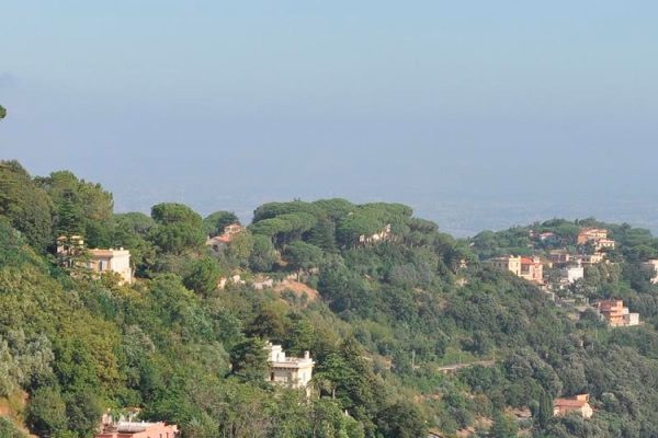 Nestled in the Alban Hills, 24 km southeast of Rome, Castel Gandolfo offers scenic views of Lake Albano and a historic papal palace, a cherished summer retreat for popes since the 17th century. Savor delectable local dishes like porchetta, fettuccine alla papalina, and exquisite wines.