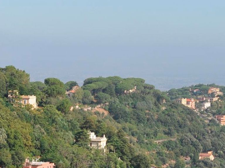 Nestled in the Alban Hills, 24 km southeast of Rome, Castel Gandolfo offers scenic views of Lake Albano and a historic papal palace, a cherished summer retreat for popes since the 17th century. Savor delectable local dishes like porchetta, fettuccine alla papalina, and exquisite wines.