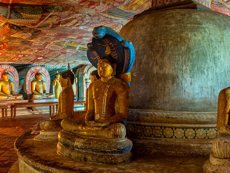 Dambulla Cave Temple, a pilgrimage site for over 22 centuries, is Sri Lanka's best-preserved cave-temple complex. Often called the "Golden Cave Temple" due to its gold-leaf adorned statues and art, it's a UNESCO World Heritage Site and a top tourist attraction in Sri Lanka.