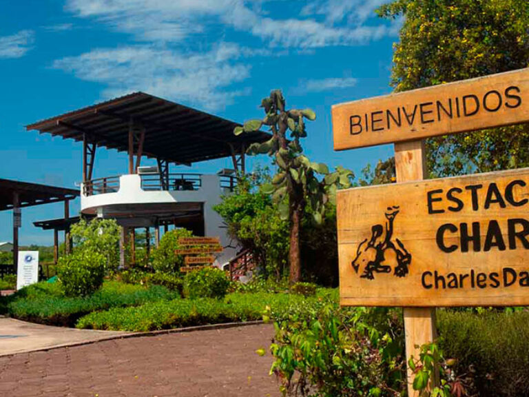 Located in the Galapagos Islands, the Charles Darwin Research Station is a global hub for studying and protecting the region's unique and fragile ecosystem.