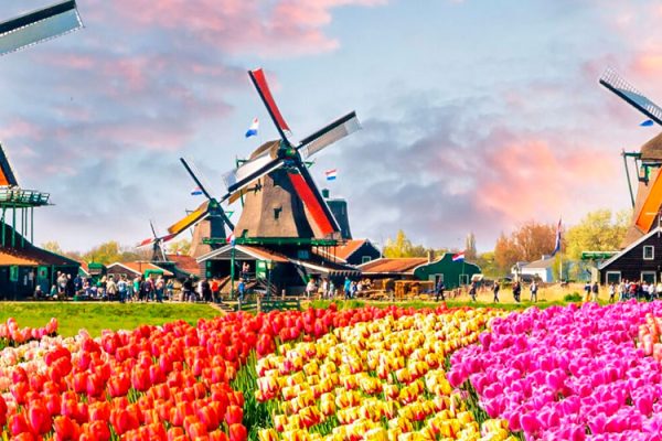 Discover the Netherlands' stunning gardens like Keukenhof Gardens, the world's largest flower garden, blooming with tulips, daffodils, and hyacinths. Don't miss Het Loo Palace Garden's elegant formality and serene nature reserve.