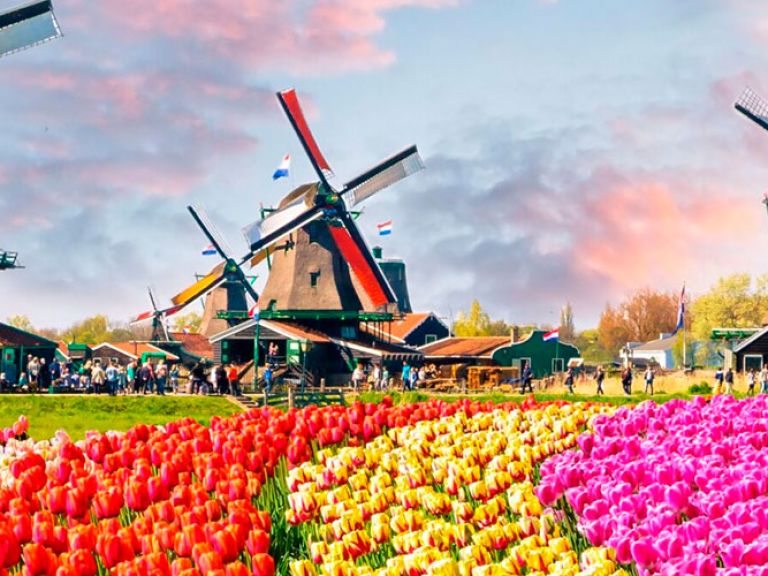 Discover the Netherlands' stunning gardens like Keukenhof Gardens, the world's largest flower garden, blooming with tulips, daffodils, and hyacinths. Don't miss Het Loo Palace Garden's elegant formality and serene nature reserve.