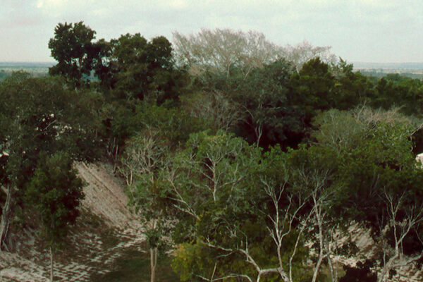 Dzibanche, an eminent archaeological site in eastern Quintana Roo, Mexico, boasts various pyramids, plazas, and a ball court. Its distinctive ground-level construction suggests a unique lifestyle compared to other Maya groups.