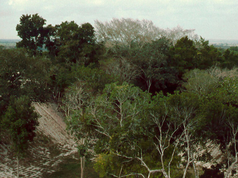 Dzibanche, an eminent archaeological site in eastern Quintana Roo, Mexico, boasts various pyramids, plazas, and a ball court. Its distinctive ground-level construction suggests a unique lifestyle compared to other Maya groups.