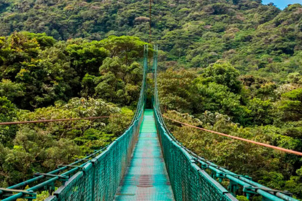 Costa Rica rainforest hanging bridges.