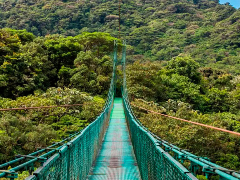 Costa Rica rainforest hanging bridges. Nowhere in the world will you find a more breathtaking experience than walking among the treetops on our Costa Rica rainforest hanging bridges.