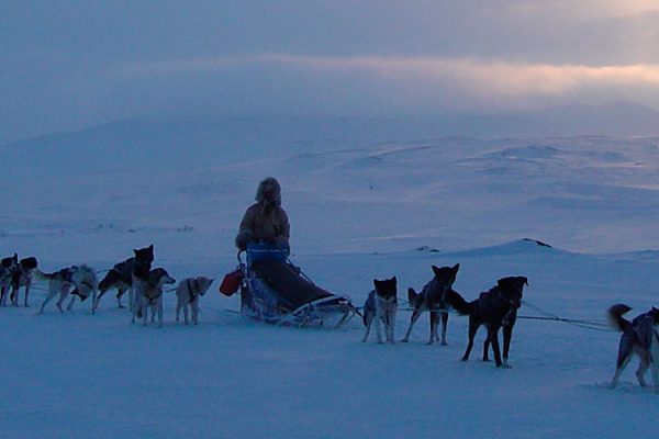 Husky sled safaris, a thrilling Arctic activity, involve traversing snowy landscapes on a sled drawn by sled dogs. These adventures, ranging from a few hours to several days, offer unforgettable experiences in mountainous, snow-covered regions.