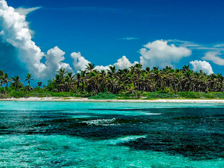 Isla Contoy, an untouched gem near Cancun and Isla Mujeres in Mexico's Yucatan Peninsula, is a sanctuary for over 150 bird species, iguanas, and turtles. Accessible only by tour boat, it became a protected national park in 1998.