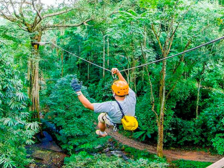 King Kong Smile Zipline