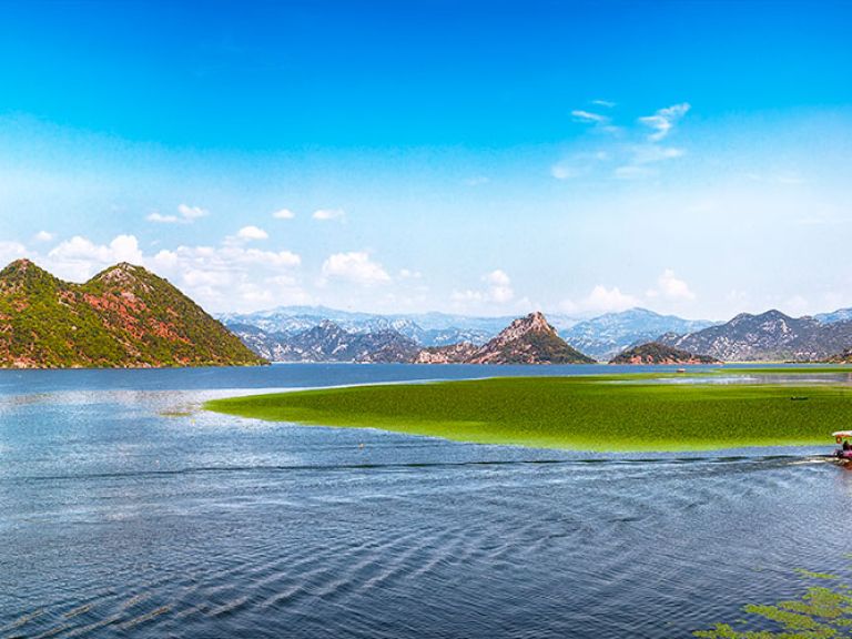 Discover Lake Skadar, Montenegro's largest lake, a breathtaking natural wonder nestled amidst majestic mountains and abundant wildlife. Explore Virpazar village, a charming base for boat tours, hiking, and biking adventures.